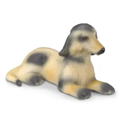 Afghan Hound Puppy