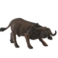 African Buffalo