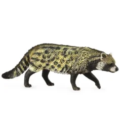 African Civet