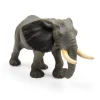 African Elephant
