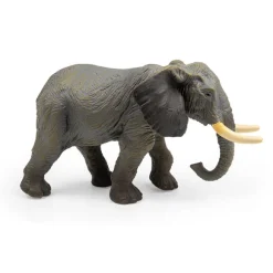 African Elephant