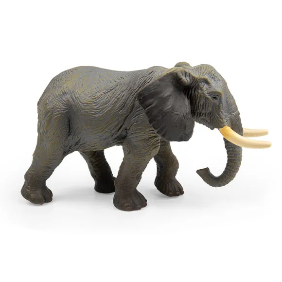 African Elephant