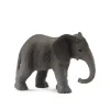 African Elephant Calf
