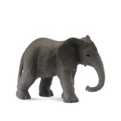 African Elephant Calf