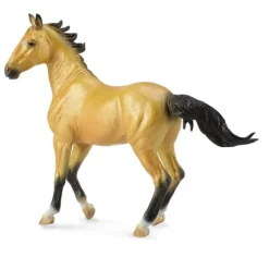 Akhal Teke Mare Buckskin