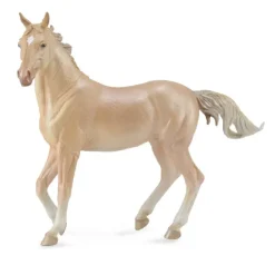 Akhal Teke Mare Perlino