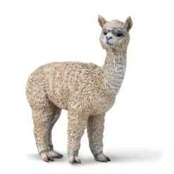 Alpaca