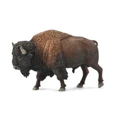 American Bison