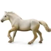 American Cream Draft Stallion - Cream
