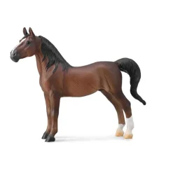American Saddlebred Stallion Liver Chestnut