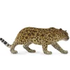 Amur Leopard