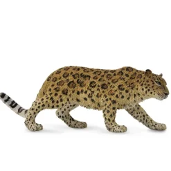 Amur Leopard