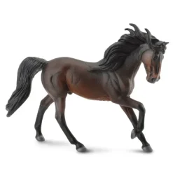 Andalusian Stallion Bay