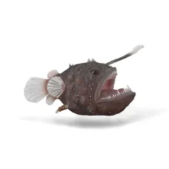 Anglerfish