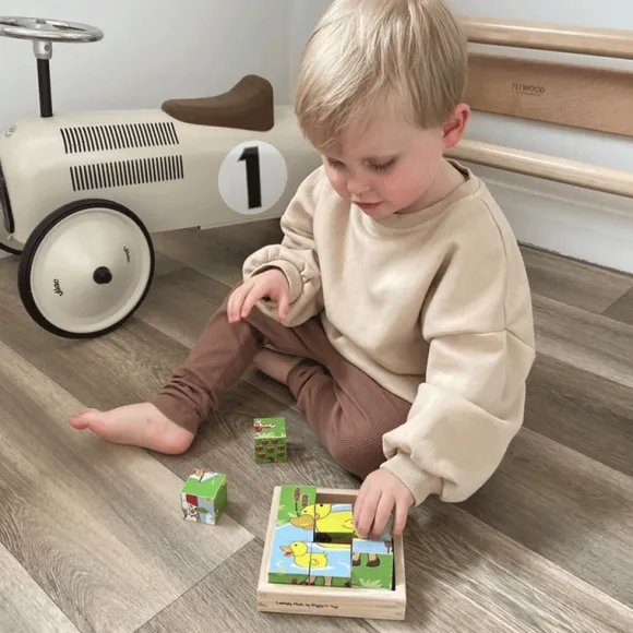 Animal Cube Puzzle