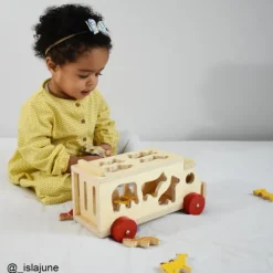 Animal Shape Lorry