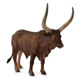 Ankole Watusi Bull