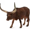 Ankole Watusi Cow