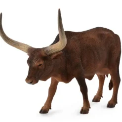 Ankole Watusi Cow