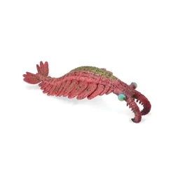 Anomalocaris