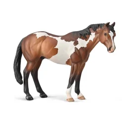 Appaloosa Stallion Bay Overo Paint