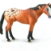 Appaloosa Stallion Light Brown