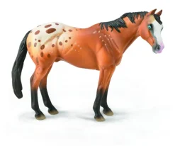 Appaloosa Stallion Light Brown