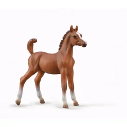 Arabian Foal - Chestnut