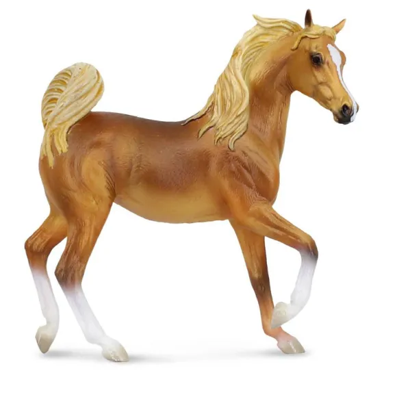 Arabian Mare Golden Chestnut