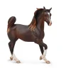 Arabian Mare Liver Chestnut