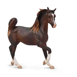 Arabian Mare Liver Chestnut