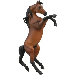 Arabian Stallion Rearing - Bay