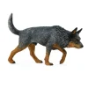 Australian Cattle Dog