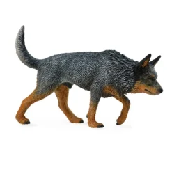 Australian Cattle Dog
