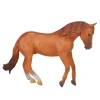 Australian Stock Horse Stallion Chestnut