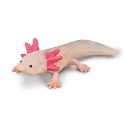 Axolotl