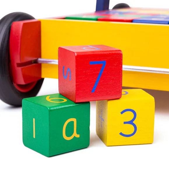 Babywalker with ABC Blocks