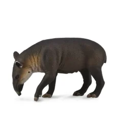 Baird'S Tapir