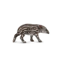 Baird'S Tapir Calf