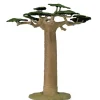 Baobab Tree