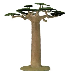 Baobab Tree