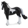 Barock Pinto Stallion