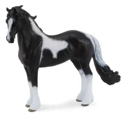 Barock Pinto Stallion
