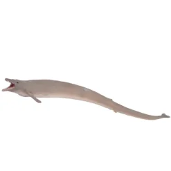 Basilosaurus