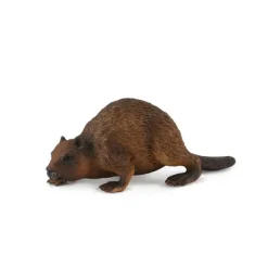 Beaver