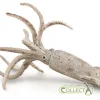 Belemnite