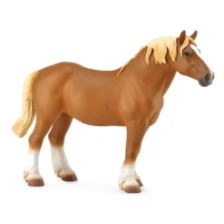 Belgian Mare Chestnut