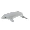 Beluga Calf