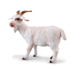 Billy Goat