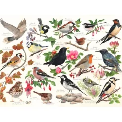 Birds In My Garden - 1000 Piece Jigsaw Puzzle